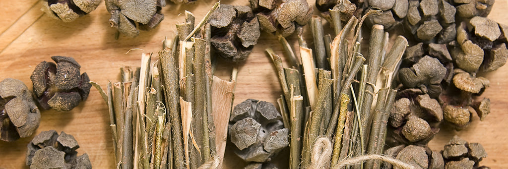 3 Powerful Benefits of White Willow Bark Extract for Scalp & Skin