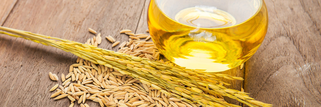7 Health Benefits of Rice Bran Oil for Hair & Skin