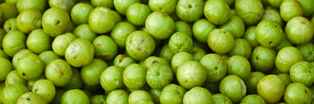 Benefits of Amla for Hair