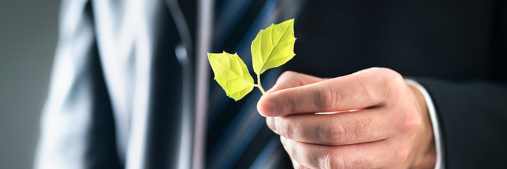 Is Your Business Eco-Friendly?