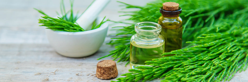 Horsetail extract for hair growth