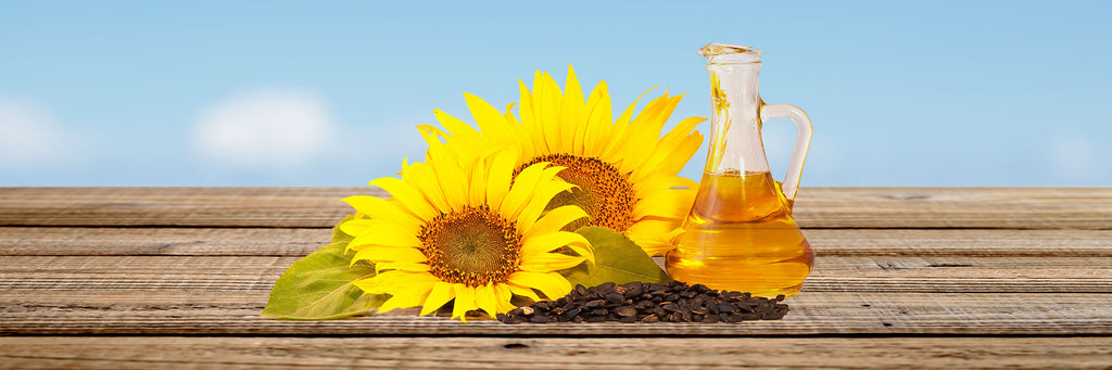 Say Goodbye To Bad Hair Days with Sunflower Seed Oil
